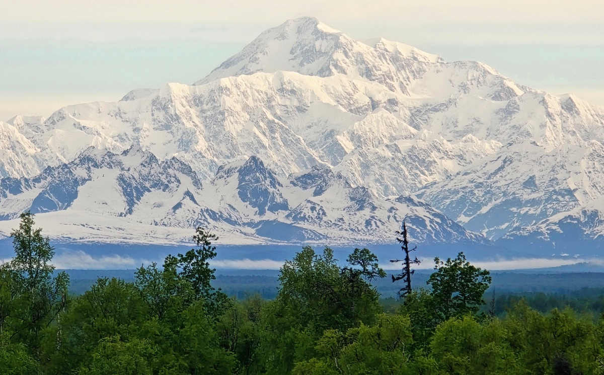A massive snow-covered mountain dominates the frame above a foreground of green boreal forest trees and a low band of clouds or mist at the base of the range. The mountain's broad, heavily glaciated summit and ridgelines fill most of the sky, with multiple glaciers visible flowing down its lower flanks.