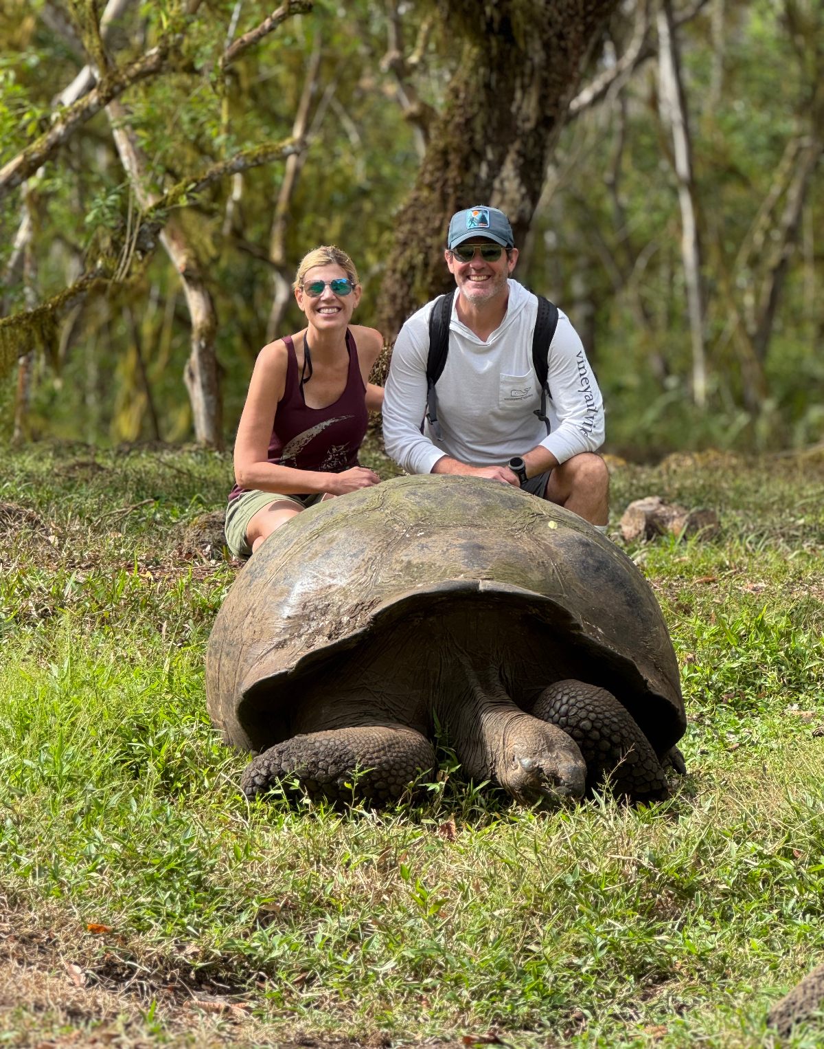 Two smiling adults crouch behind a massive Galápagos giant tortoise resting on a grassy clearing, with a moss-draped forest visible in the background. The tortoise's domed shell dominates the foreground, illustrating the impressive size of this iconic species up close.
