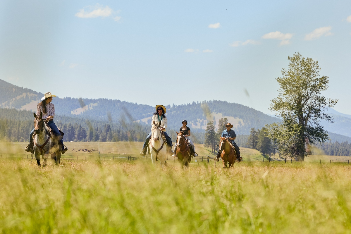 Four people on horseback ride in a line through a tall grass meadow under a blue sky with scattered clouds. Forested mountains rise in the background, with a solitary tree standing to the right of the riders.