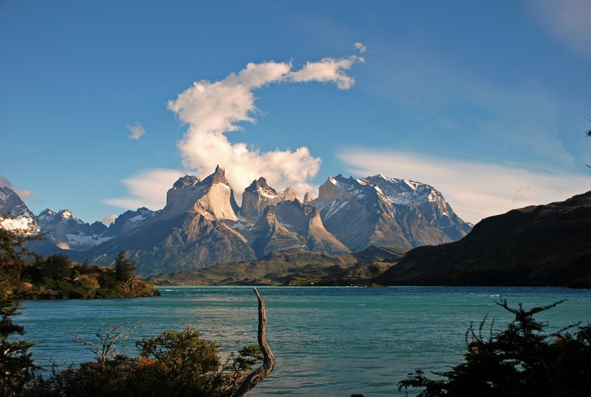 The jagged granite peaks of Torres del Paine rise sharply above a glacier-fed turquoise lake, with snow dusting the upper ridgelines and a large billowing cloud trailing from the central summits. Low native shrubs and a weathered dead tree frame the foreground, while additional snow-capped peaks extend across the horizon under a bright blue sky.