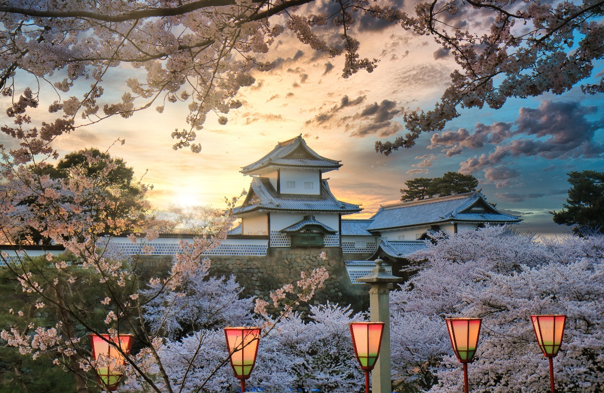 Kanazawa Castle rises behind a stone wall and moat, its white plastered turret and gray-tiled rooflines framed by densely blooming cherry blossom trees in full spring flower. A row of traditional red and green lanterns lines a path in the foreground, with the low sun breaking through dramatic clouds in a warm golden sky overhead.