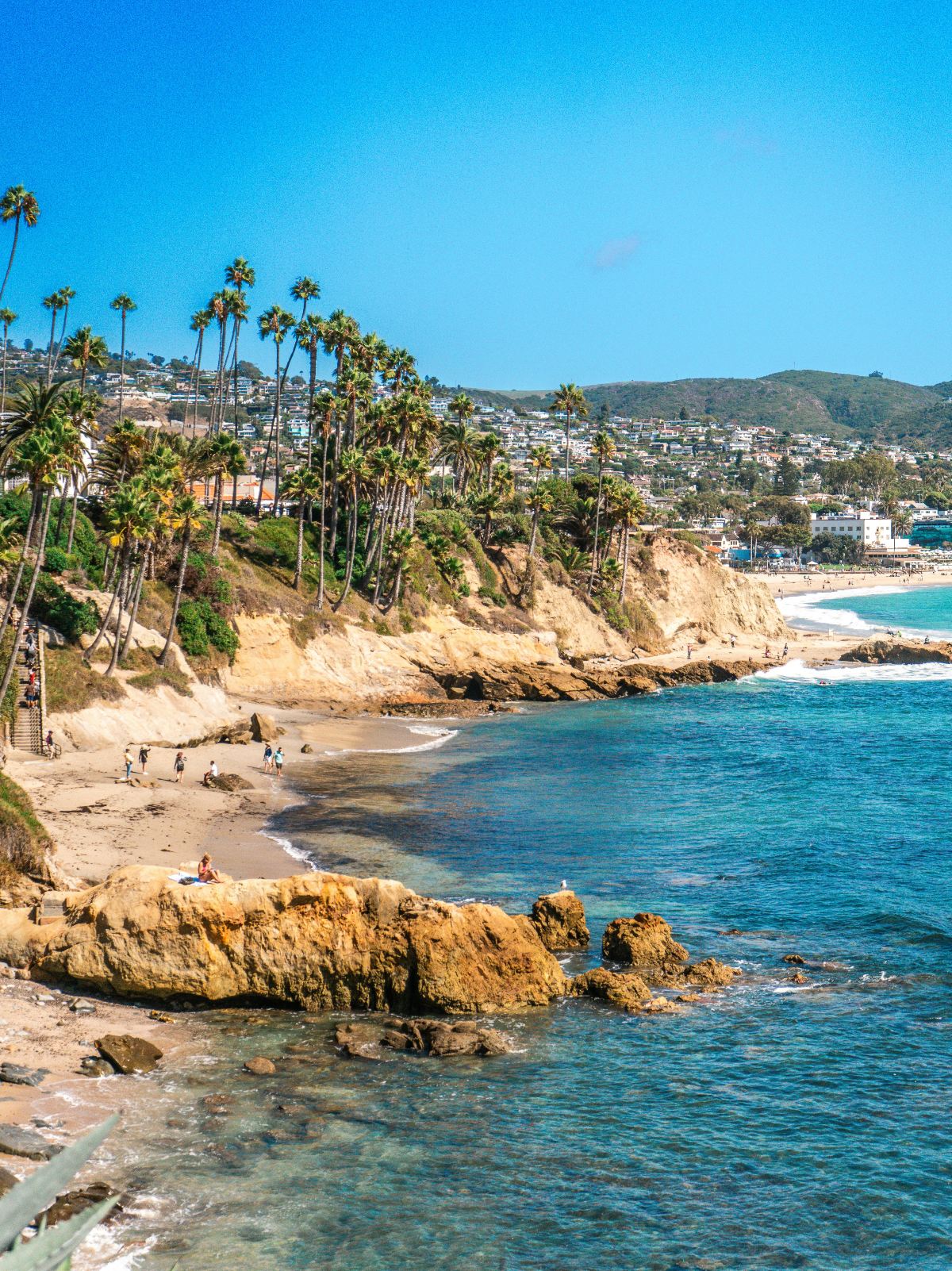 A sweeping coastal view of Laguna Beach captures sandy coves, weathered sandstone cliffs, and clusters of tall palm trees lining the bluffs, with beachgoers scattered along the shore and turquoise water meeting rocky outcroppings in the foreground. Sun-bleached hillsides dotted with residential homes and green slopes rise behind the coastline beneath a vivid blue sky.