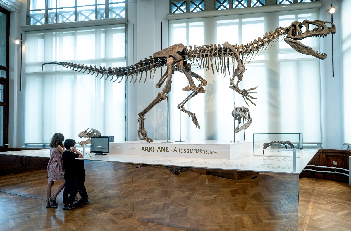 Two children stand before a large mounted dinosaur skeleton on a white platform labeled "ARKHANE - Allosaurus sp. nov." in a bright, high-ceilinged museum gallery with parquet floors and tall windows. Additional fossil specimens, including skull and limb fragments in glass cases, are displayed alongside the full skeleton.