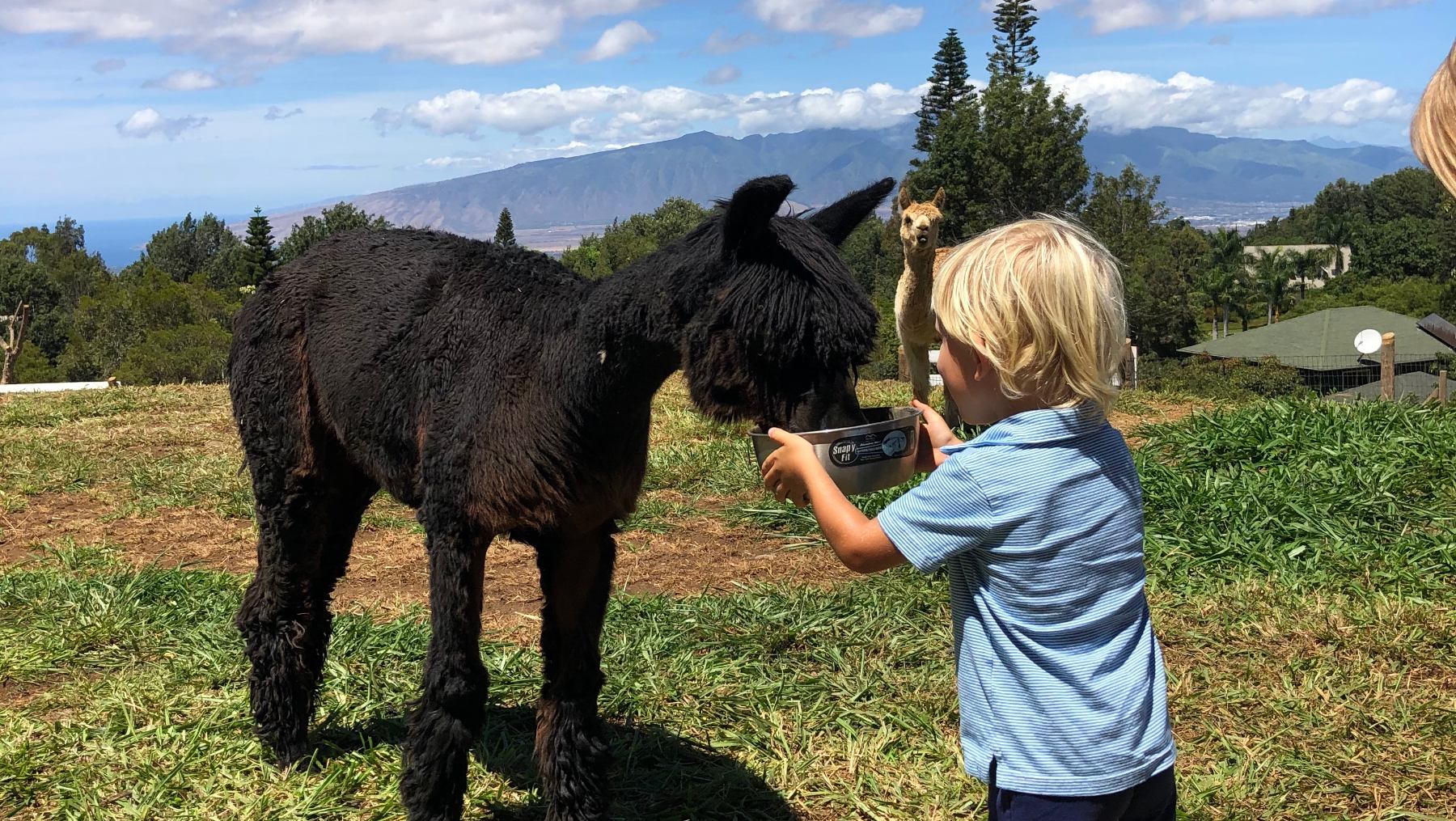 The Best Toddler-Friendly Vacations in the U.S.