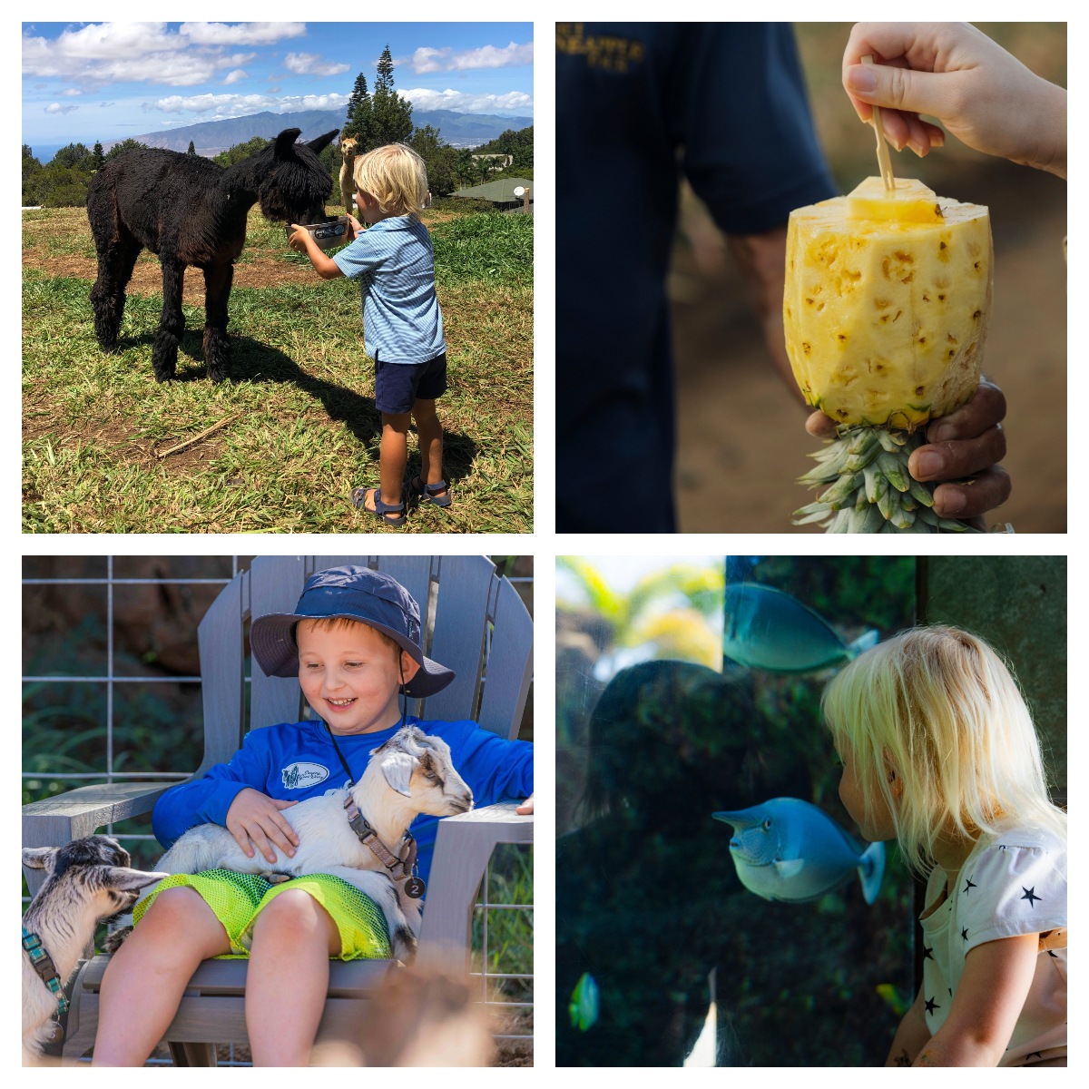 The Best Toddler-Friendly Vacations in the U.S.