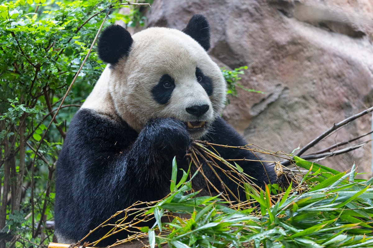 The Best Toddler-Friendly Vacations in the U.S.
