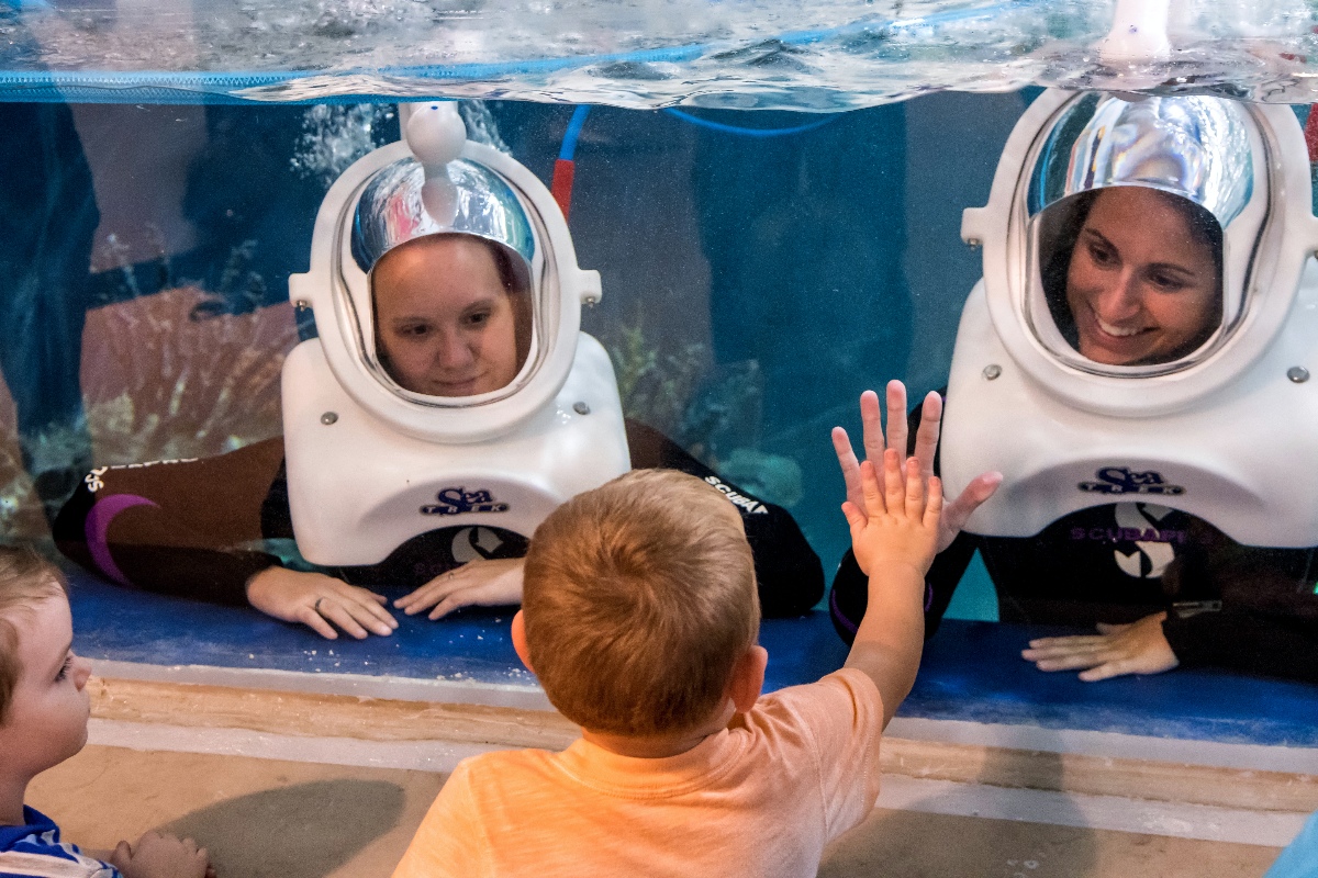 The Best Toddler-Friendly Vacations in the U.S.