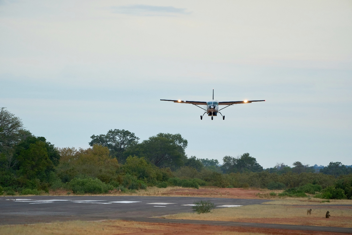A small propeller plane approaches a remote bush airstrip at dusk, its landing lights illuminated against a pale sky. Dry savanna grass, dense woodland, and two baboons are visible alongside the tarmac runway below.