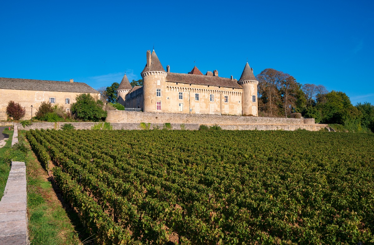 Château de Rully, a medieval stone castle with multiple conical-roofed towers and crenellated walls, rises above a low stone retaining wall against a deep blue sky. Orderly rows of grapevines fill the foreground, stretching across the full width of the frame toward the château's base.