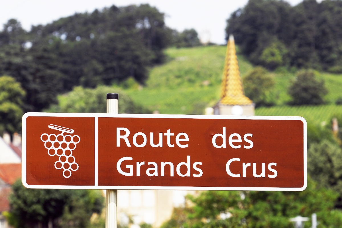 A brown rectangular road sign reading "Route des Grands Crus" with a white grape cluster icon is mounted on a post in the foreground. Behind it, a softly blurred landscape reveals a church steeple with a distinctive yellow-tiled spire rising above vineyard-covered hillsides and green trees.