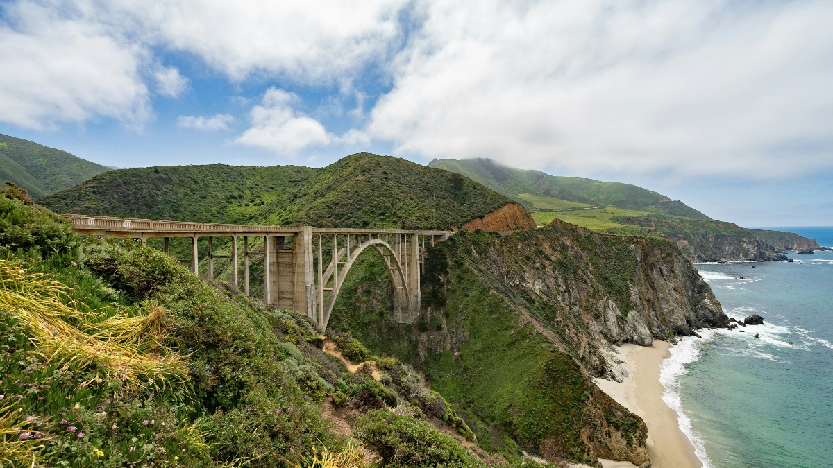 Bixby Creek Bridge, a concrete open-spandrel arch bridge, spans a coastal canyon along a rugged stretch of the California coastline, with green hillsides, low-hanging clouds, and the Pacific Ocean visible in the background. In the foreground, wildflowers and dense coastal scrub cover the sloping terrain above a narrow sandy beach where waves meet the shore.