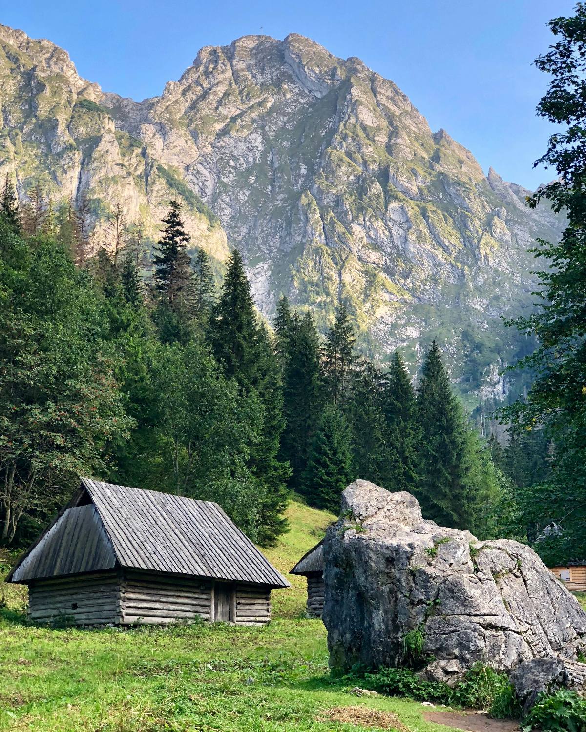 Two small traditional log cabins with weathered wooden roofs sit on a grassy alpine meadow beside a large boulder, surrounded by dense evergreen forest. A dramatic rocky peak of the Tatra Mountains rises steeply in the background beneath a clear blue sky.