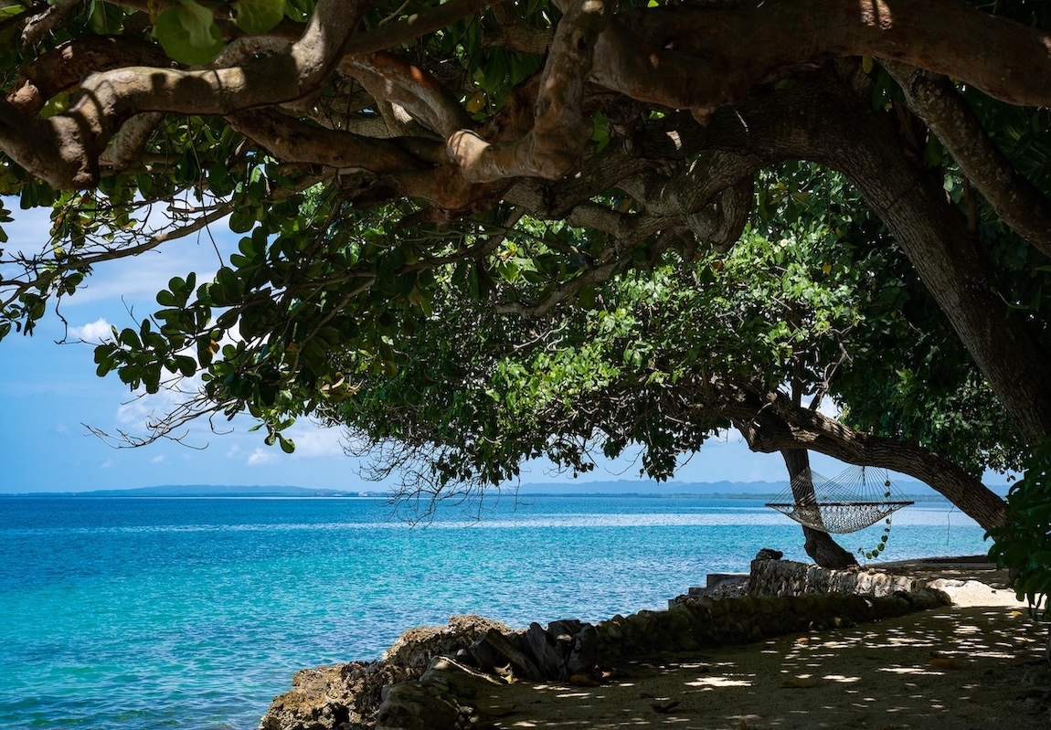 Oceanside hammock at Bluefields Bay, Jamaica