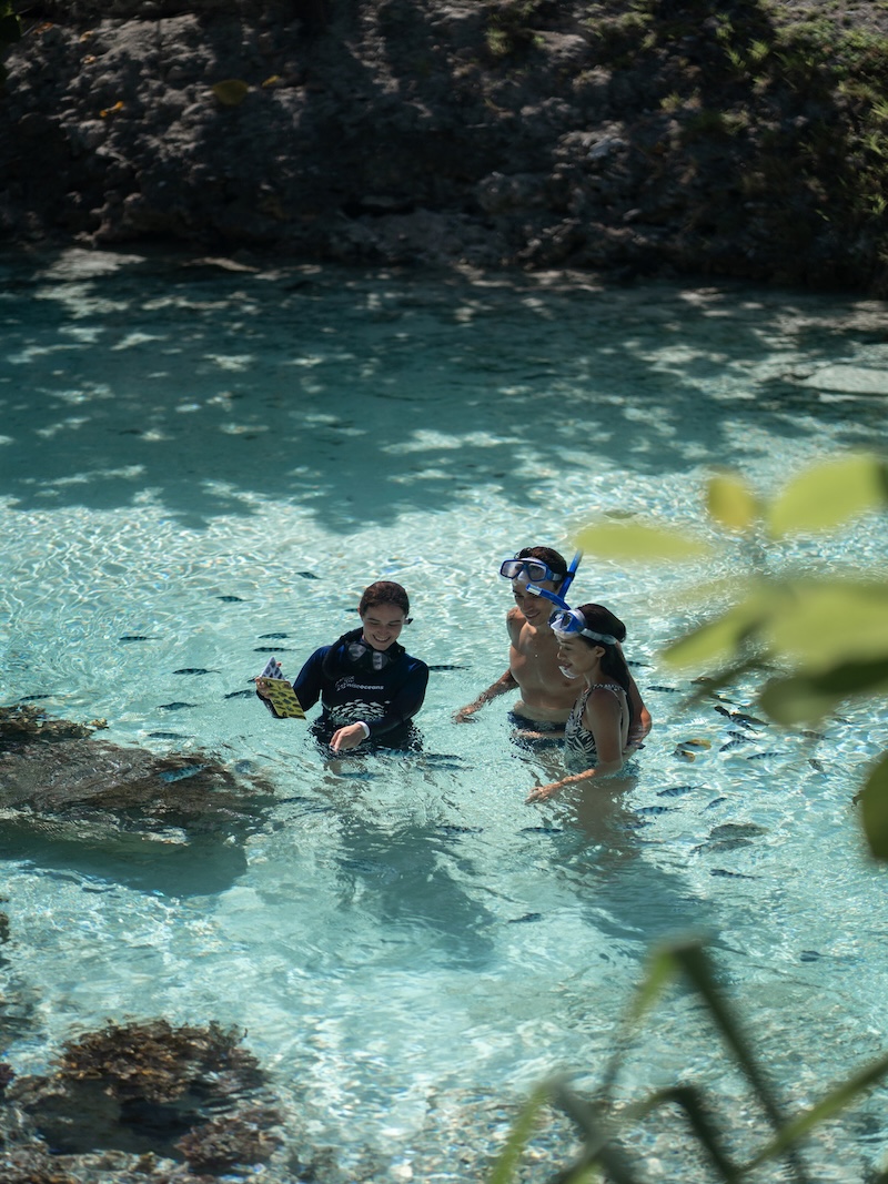 Snorkeling at For Seasons Bora Bora