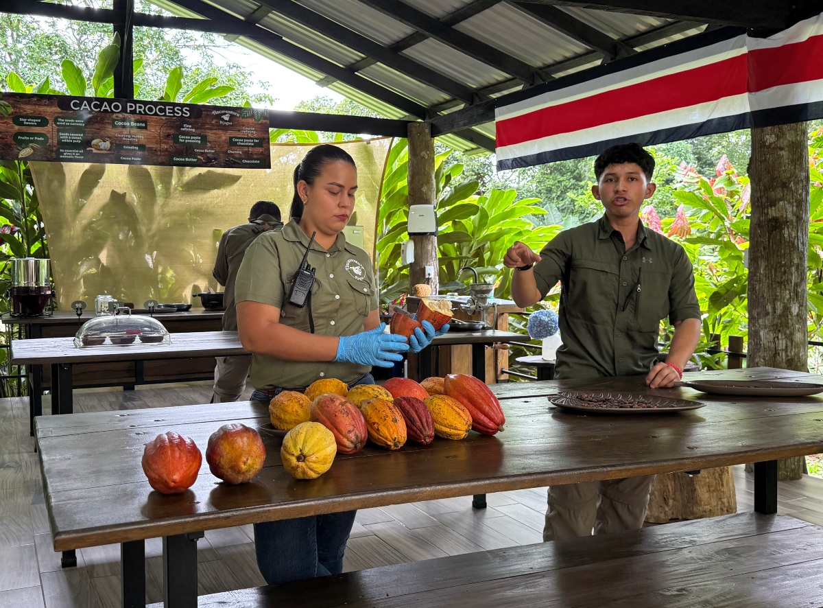 3 Authentic Food & Cultural Experiences in Costa Rica for Families