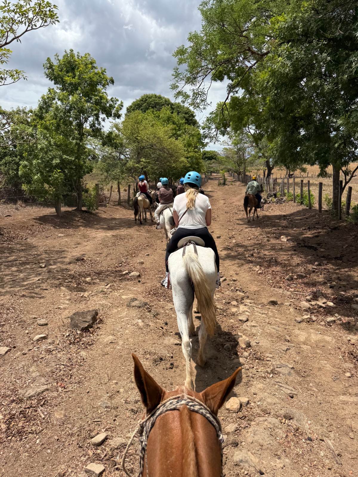 A group of riders wearing helmets travels single file on horseback along a dirt trail in Costa Rica, photographed from between the ears of a chestnut horse at the back of the line. The path is bordered by trees and a wooden fence, with dry pastureland and mountains visible in the distance.
