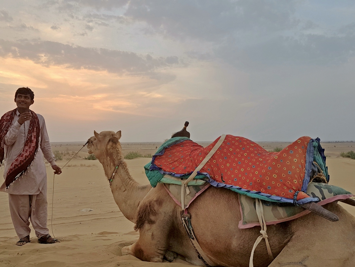 A man in a white kurta and red scarf stands holding the reins of a camel resting on the sand, its back fitted with a colorful patterned saddle blanket. The desert landscape stretches into the horizon under a pastel sky at dusk.