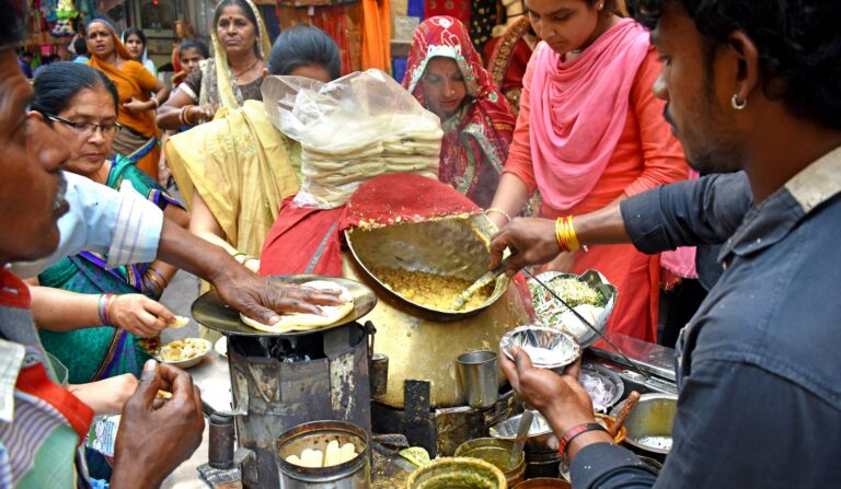 Where to Go on a Family Vacation in India
