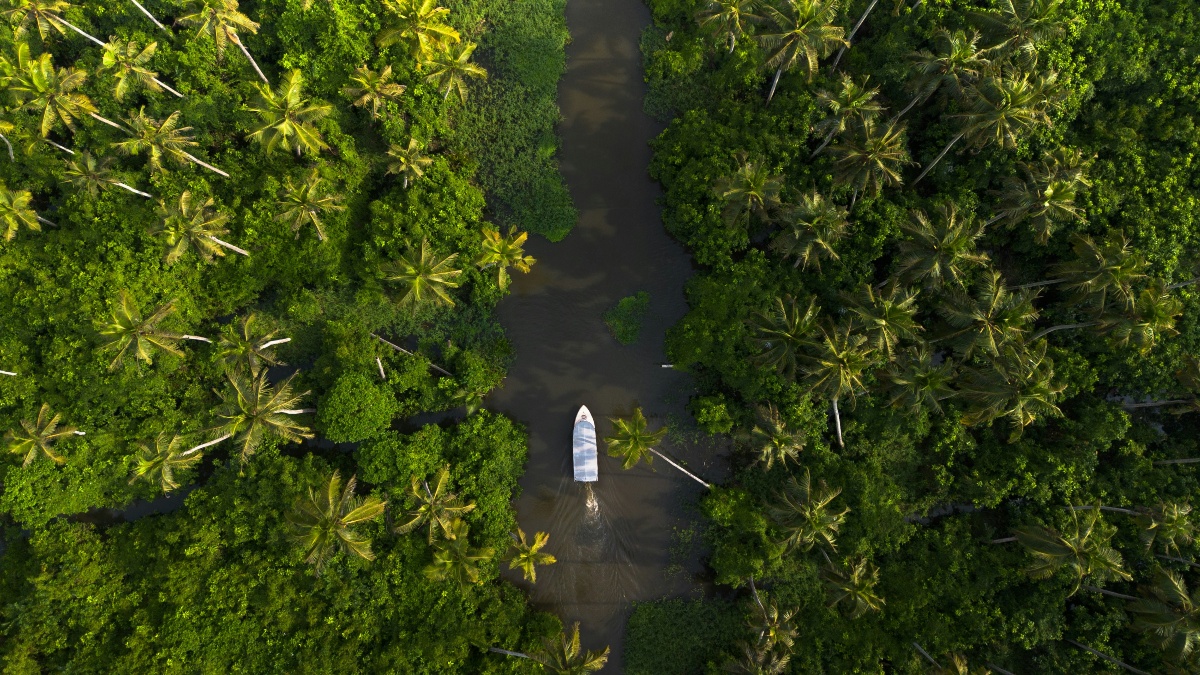 An aerial view shows a small boat traveling along a narrow waterway cutting through dense palm groves in Kerala's backwaters. Sunlight catches the tops of the palm trees lining both banks of the dark, winding channel.