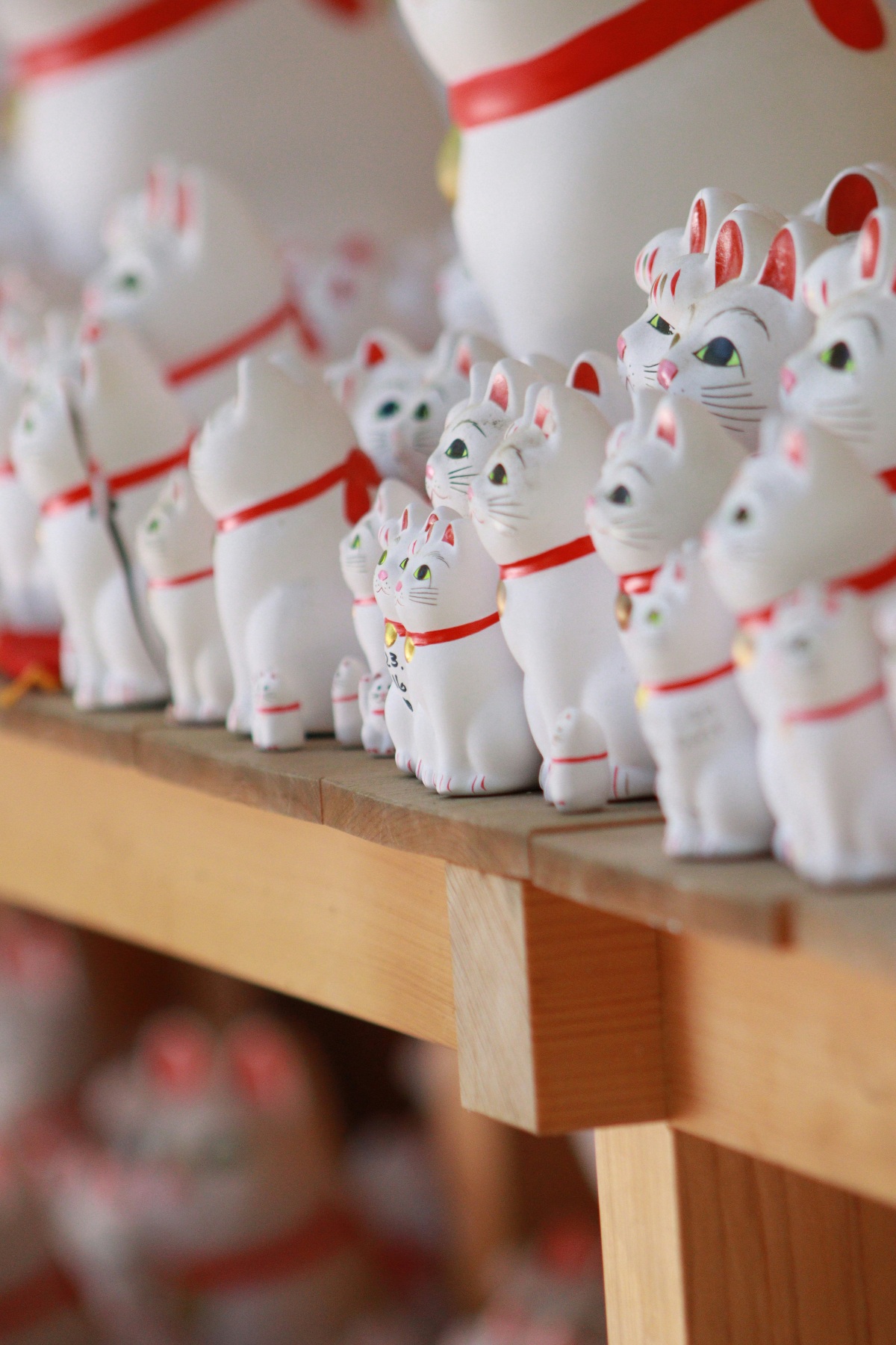 Rows of white maneki-neko (lucky cat) figurines with raised paws and red collars are displayed on a wooden shelf, varying in size from small to large, with larger figures visible in the blurred background. The ceramic cats, decorated with green eyes and pink facial details, face the same direction in a repeating pattern characteristic of votive offerings at a Japanese shrine.