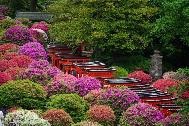 10 Peaceful Places to Escape the Crowds in Tokyo and Kyoto