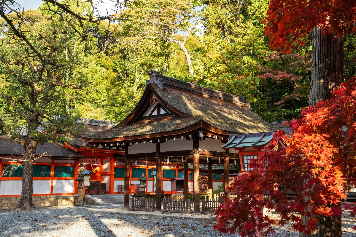 A traditional Japanese shrine complex with vermilion and white painted walls and a thatched-roof gate structure sits within a gravel courtyard, with a stone lantern visible near the entrance. Autumn foliage surrounds the buildings, with a Japanese maple in vivid red in the foreground and a dense canopy of green and yellow trees rising behind the rooflines.