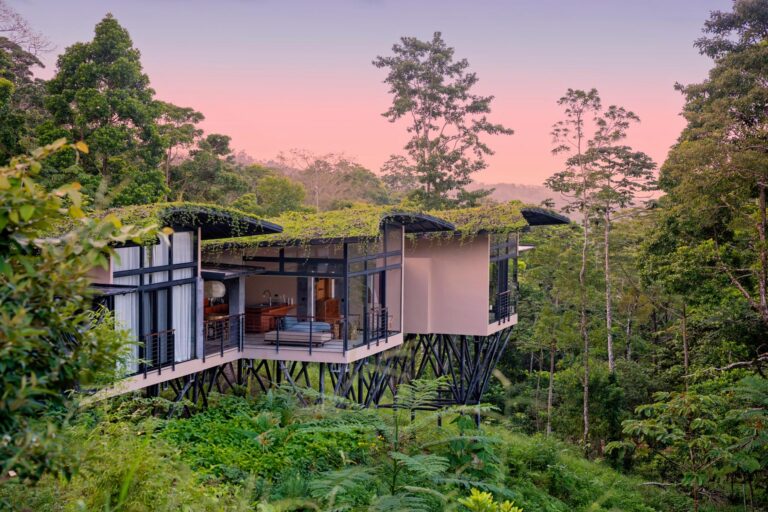 Origins Astral: An Extraordinary Eco-Retreat Deep in Costa Rica’s Rainforest