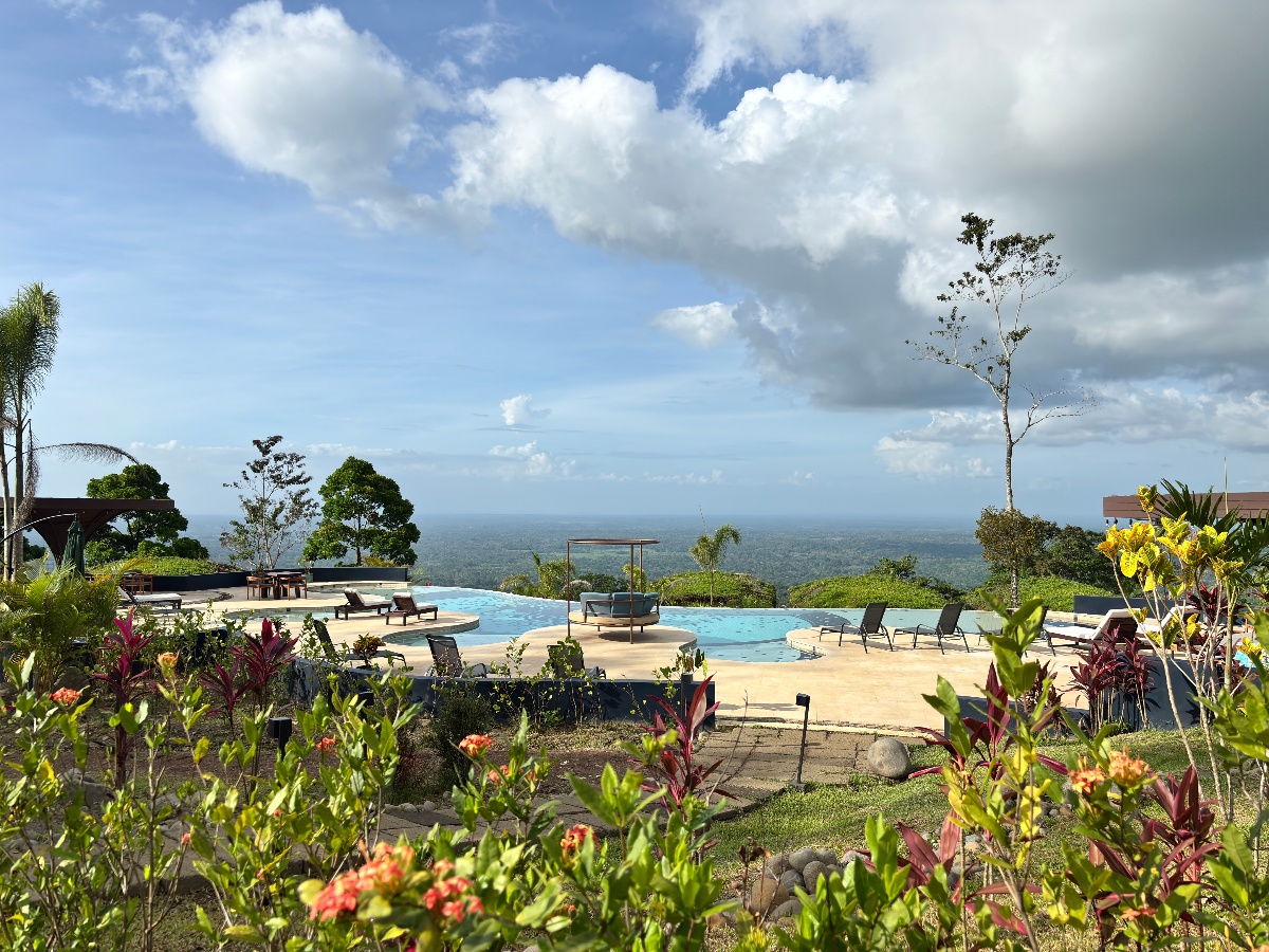 A curved infinity pool with lounge chairs and a canopied daybed sits on a terrace overlooking an expansive view of lowland forest stretching to the horizon. Flowering shrubs and palm trees frame the foreground under a partly cloudy sky.