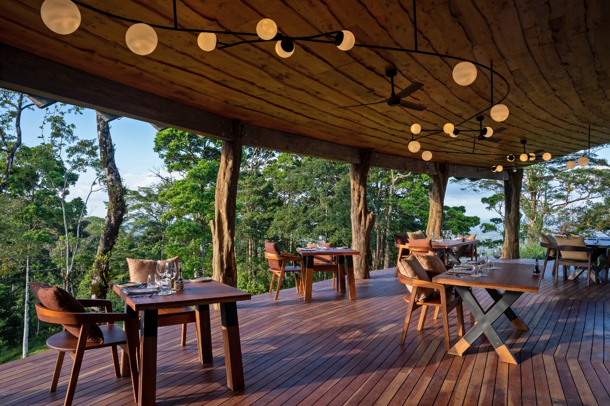 An open-air restaurant deck with set wooden dining tables and chairs sits beneath a curved wood-clad roof strung with round string lights and ceiling fans. The deck is supported by tree-trunk-like wooden columns and overlooks a dense forest canopy in late-day light.