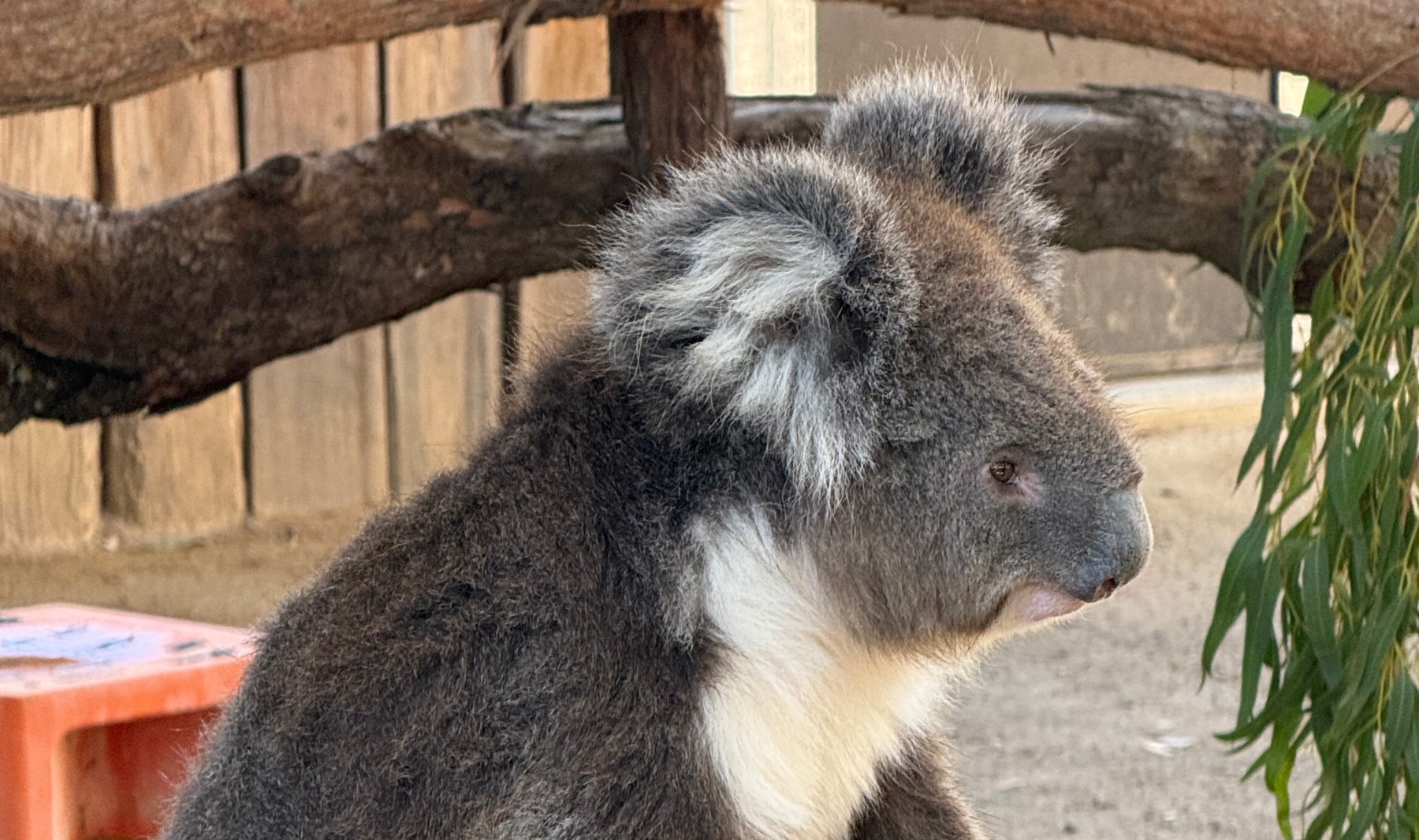A First-Time Visitor’s Guide to Australia: Q&A with Travel Advisor Amy Annis