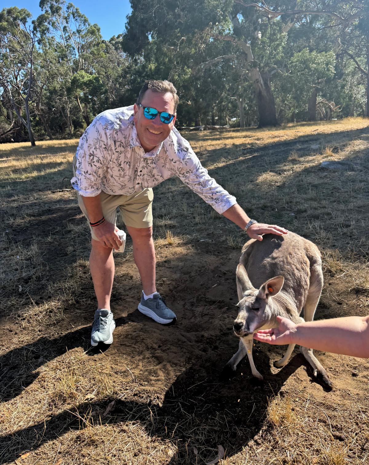 A smiling man in sunglasses and a floral shirt bends down to pet a gray kangaroo on the head in a sunny eucalyptus grove. Another person's outstretched hand feeds the kangaroo from the right edge of the frame.