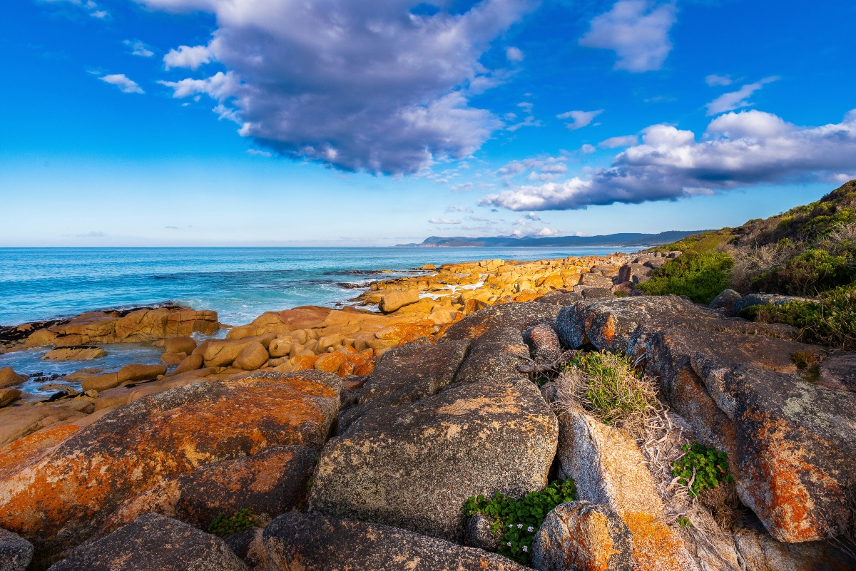 Orange lichen-covered granite boulders line a rocky Tasmanian coastline, with turquoise water and distant headlands stretching along the shore. Puffy clouds drift across a bright blue sky above the coastal scrub growing between the rocks.