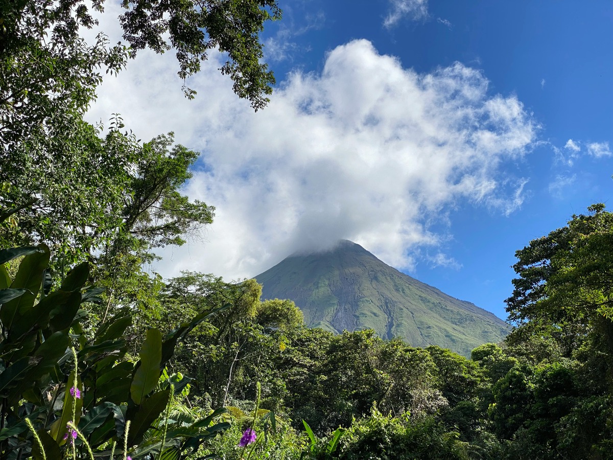 A steep, cone-shaped green mountain rises above dense tropical forest, its summit partly hidden by a large white cloud against a deep blue sky. Lush foliage frames the view, including broad leaves and small purple flowers in the foreground and tall trees along both sides.