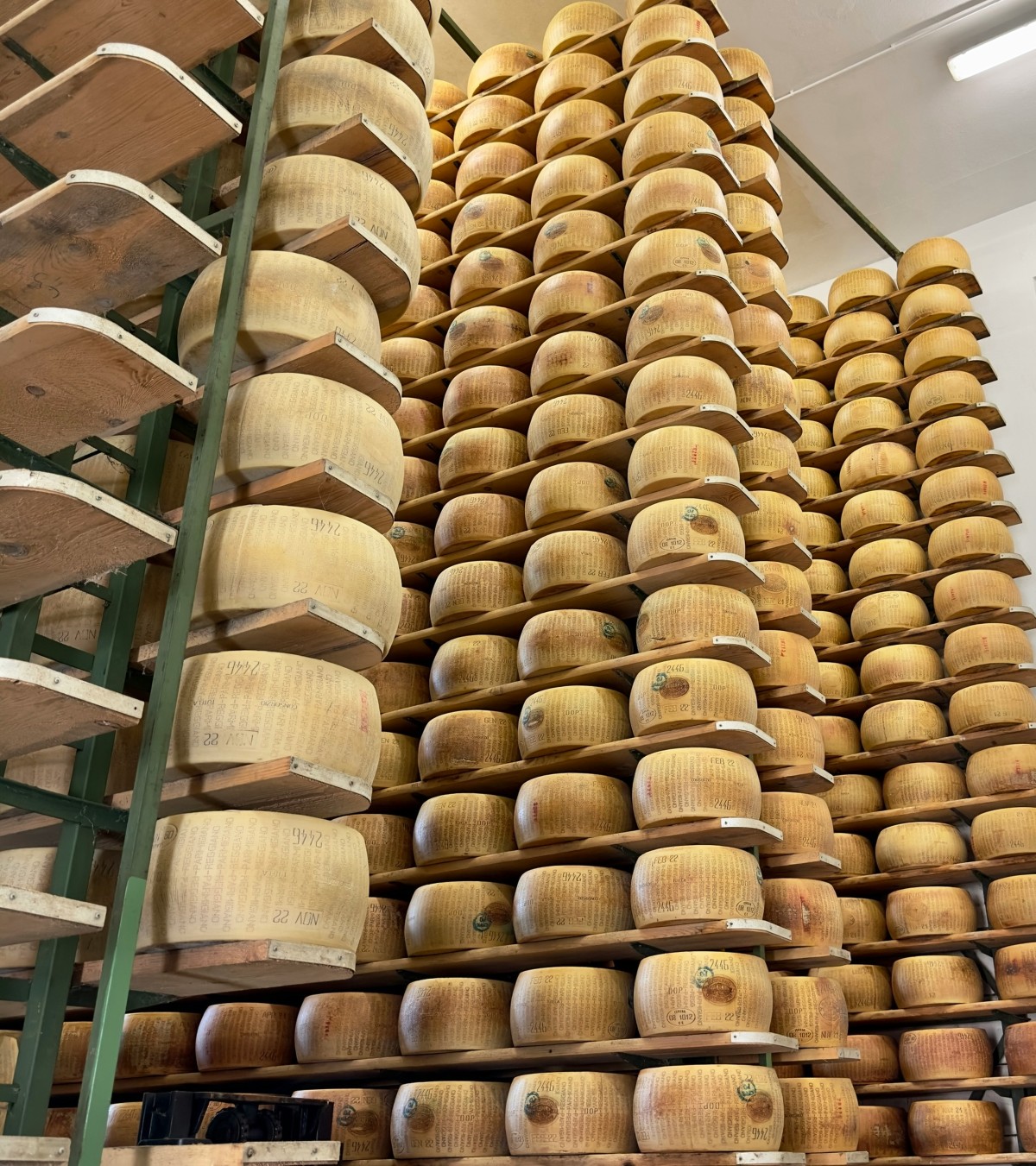 Hundreds of wheels of Parmigiano-Reggiano cheese age on tall wooden shelves that rise from floor to ceiling in an aging room. Each golden wheel bears the dotted rind stamps of the Parmigiano-Reggiano consortium, with date markings visible on several rows.