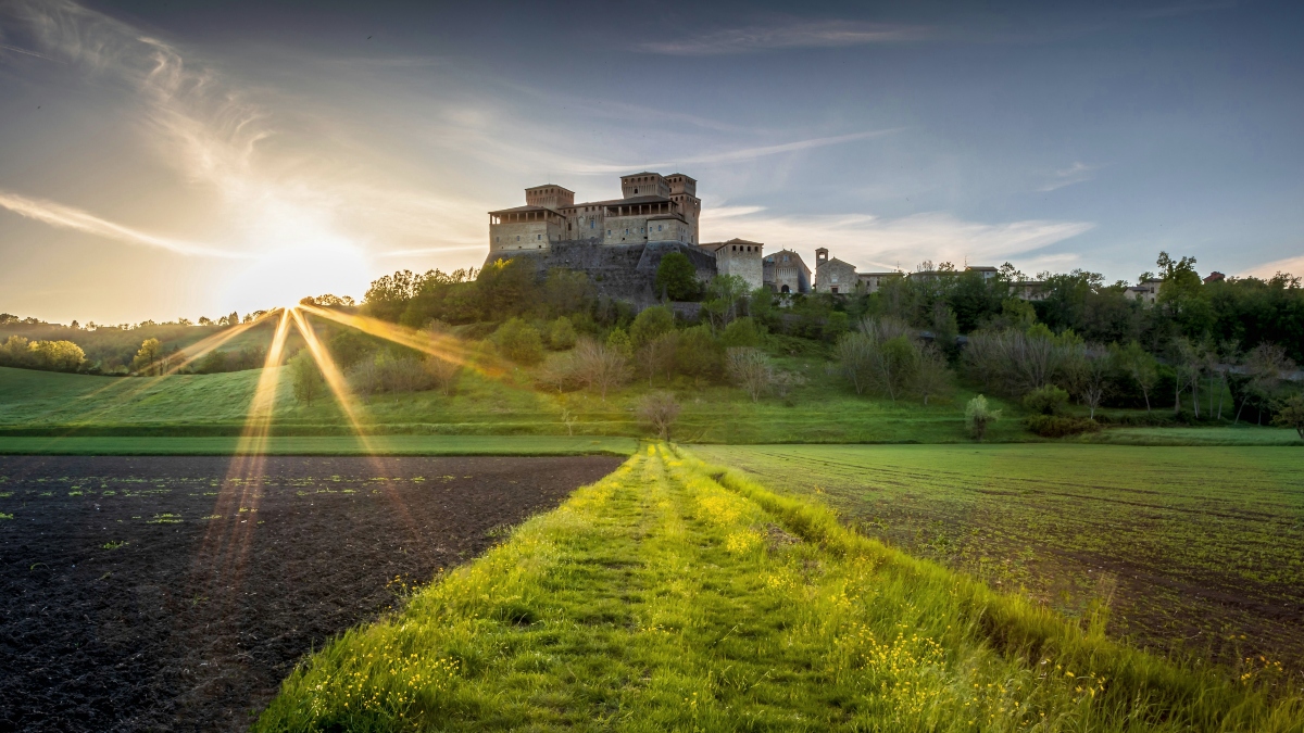 The medieval Castle of Torrechiara sits atop a wooded hill, its square towers and stone walls lit by low sunlight. In the foreground, a grassy path lined with yellow wildflowers runs between plowed fields toward the castle, with the sun flaring just above the treeline on the left.