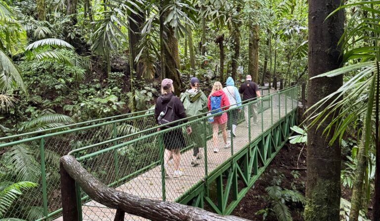 4 Standout Nature & Wildlife Experiences in Costa Rica for Families