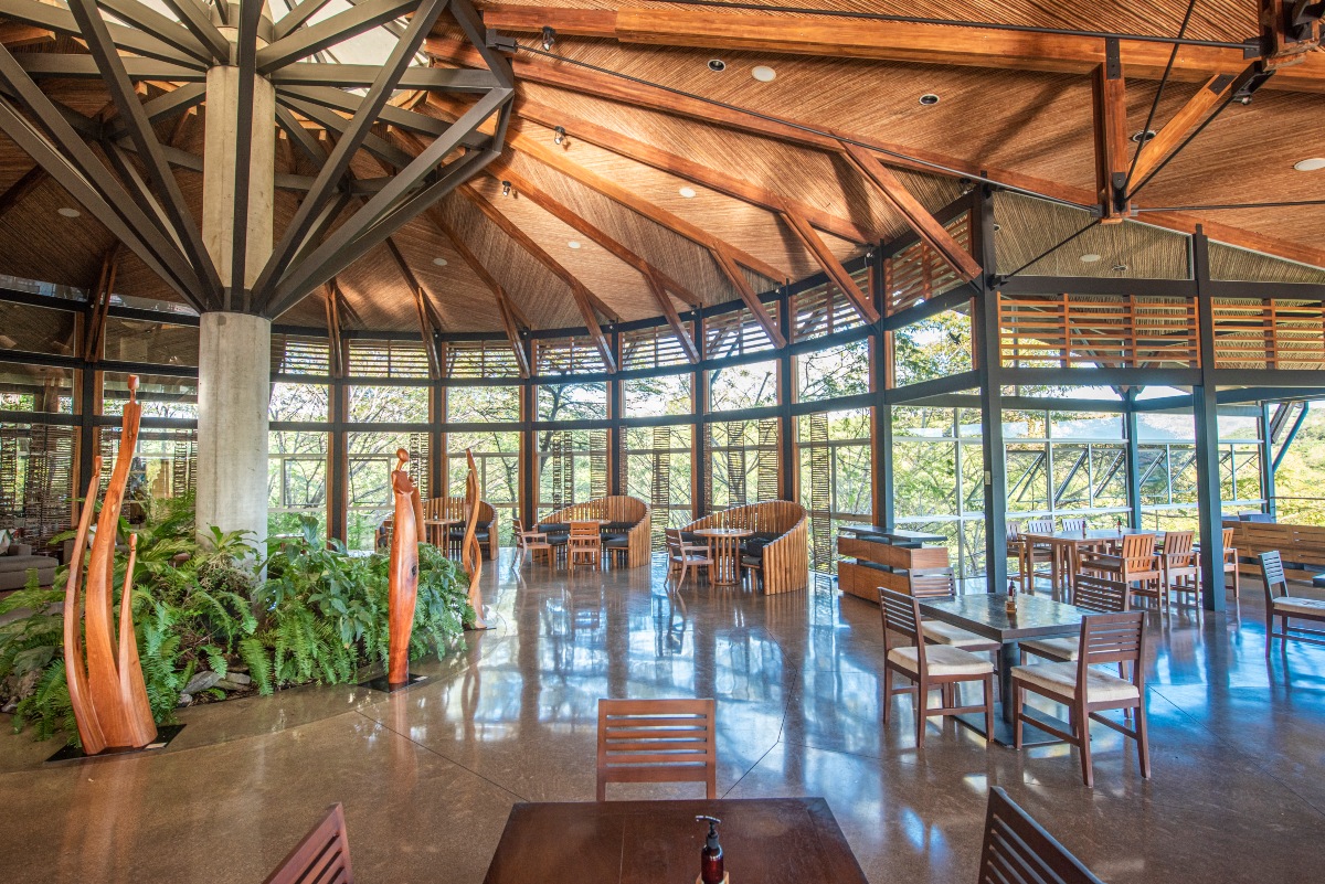 An open-air dining pavilion with a high vaulted ceiling of woven wood panels supported by exposed timber trusses and steel beams, with a polished concrete floor below. Wooden tables and chairs are arranged throughout, an interior planting bed of ferns and tall carved wood sculptures sits at left, and floor-to-ceiling windows wrap the room with views of surrounding trees and hills.