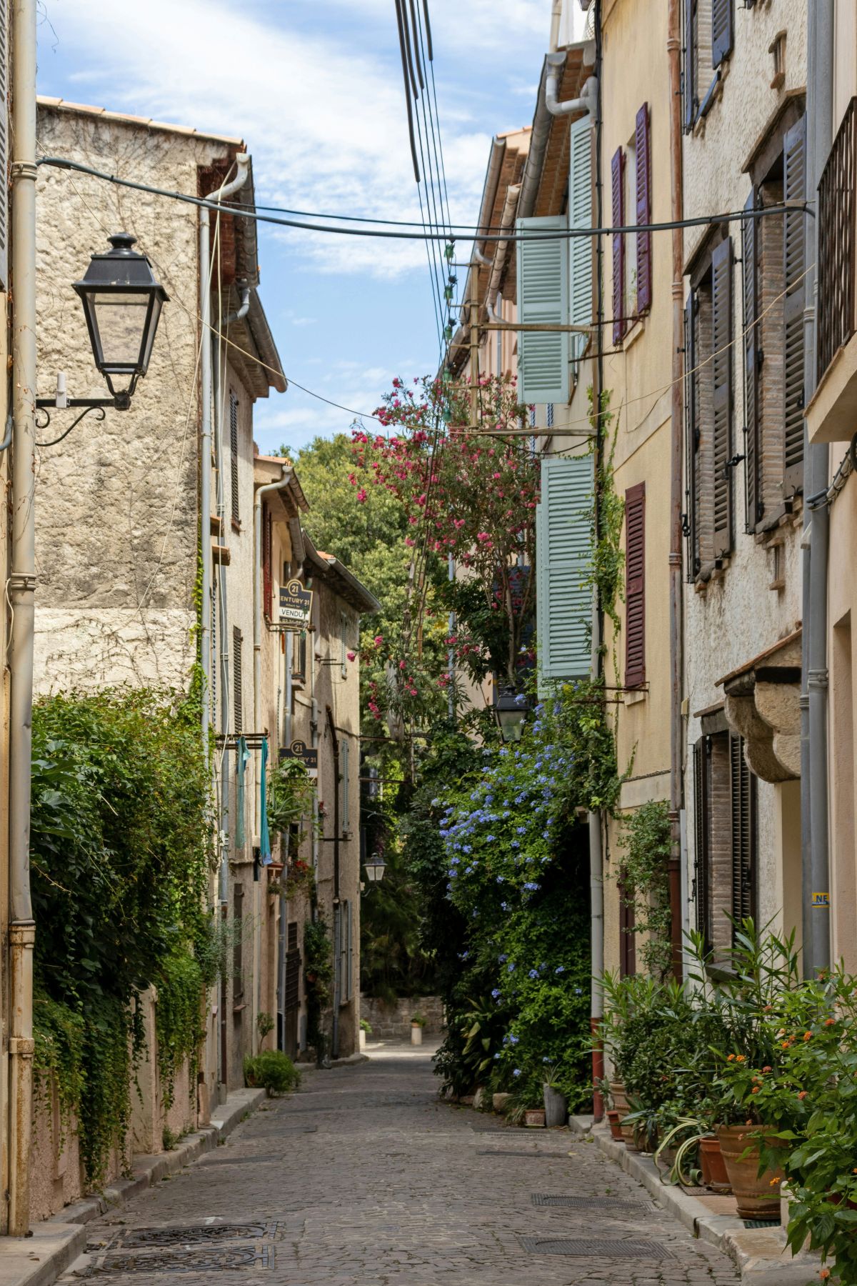 A narrow cobblestone lane runs between old stone and stucco buildings with wooden shutters in pale green and dark red, an iron street lantern mounted on the left wall. Climbing vines, potted plants, and flowering shrubs in pink and blue spill along both sides, with trees and blue sky visible where the street rises at the far end.