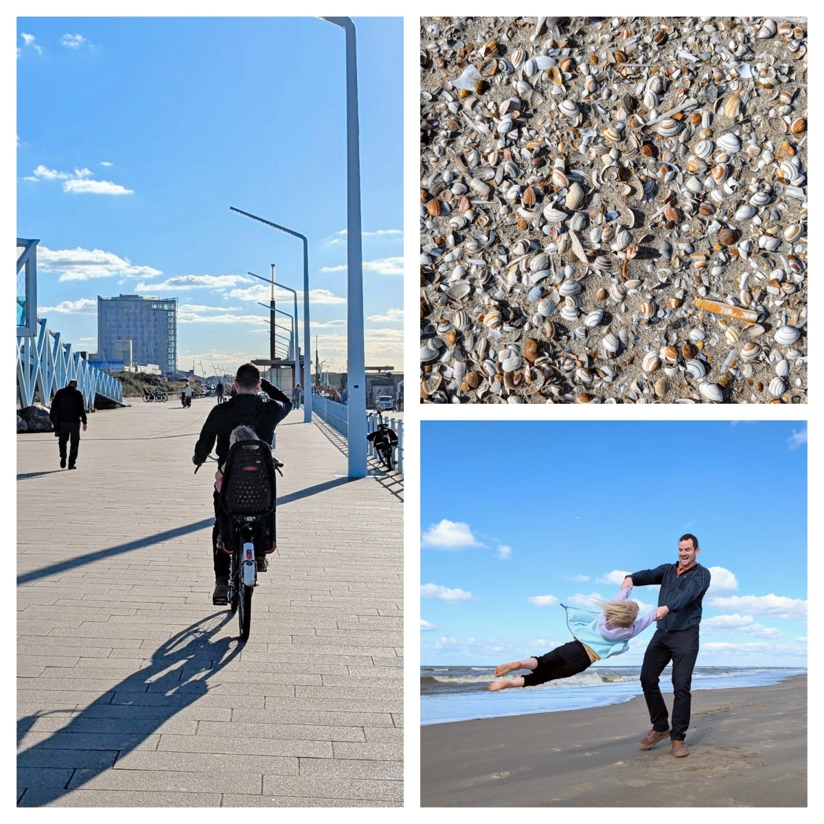 A three-photo collage shows a man riding a bicycle with a child in a rear seat along a wide, sunny seaside promenade lined with tall light posts, alongside a close-up of sand densely covered with small striped white, orange, and brown seashells. In the third photo, a smiling man on a sandy beach swings a barefoot child in a light blue jacket through the air by the hands, with waves and a blue sky with scattered clouds behind them.