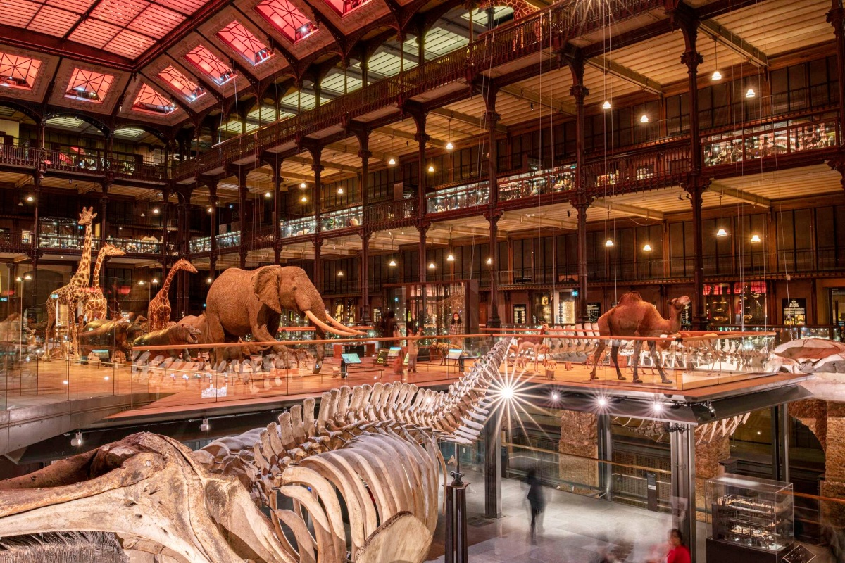 A large whale skeleton stretches across the foreground of a vast, multi-level museum hall with ornate iron columns, wooden balconies, and a glass ceiling glowing with warm red and amber light. Beyond it, a procession of taxidermied African animals, including giraffes, an elephant, and a camel, parades across a raised platform as blurred visitors move through the gallery below.