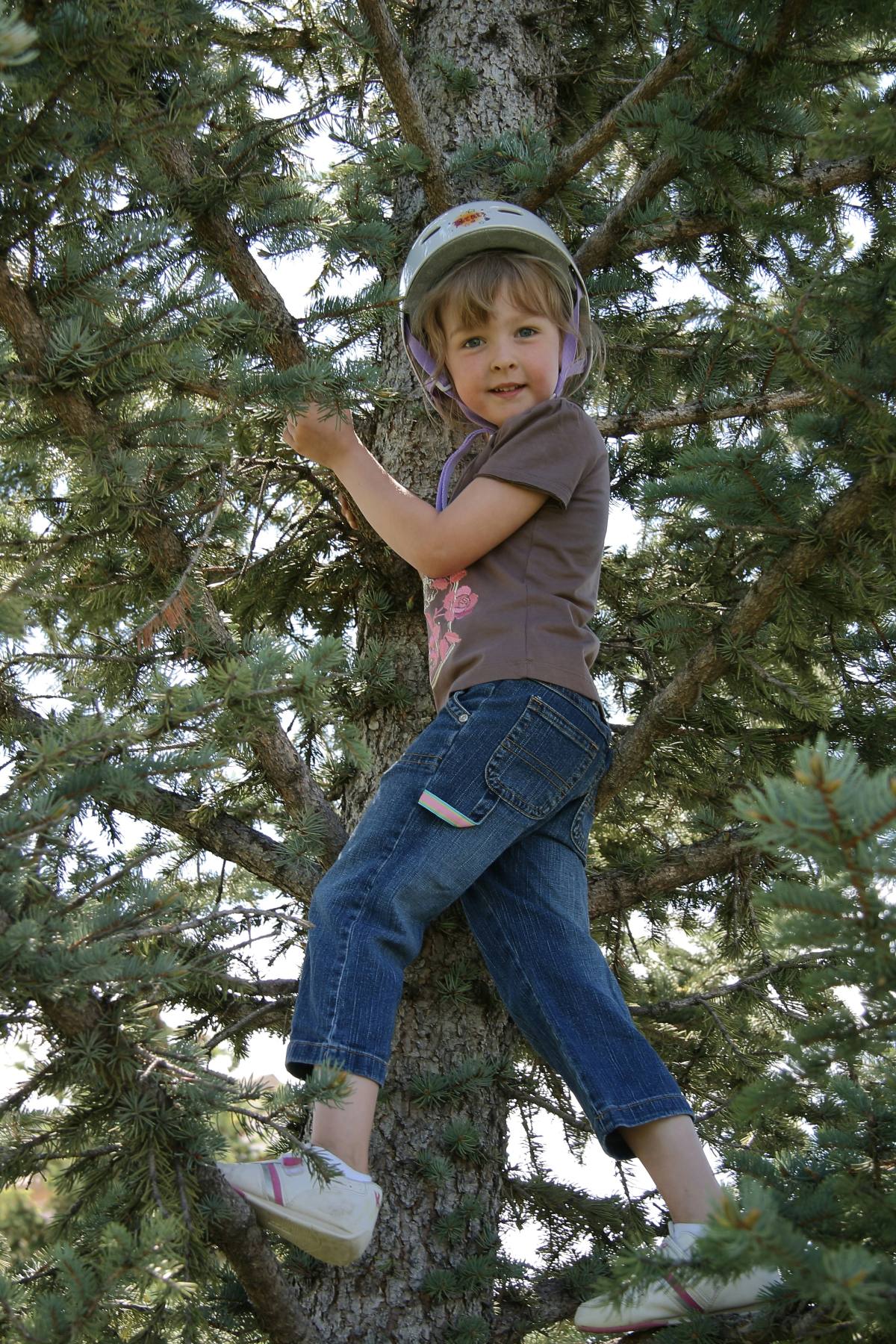 A young girl in a white helmet, brown t-shirt, and jeans stands balanced on the branches of a large evergreen tree, holding onto the trunk with one hand and looking down toward the camera. Dense green needles fill the frame around her, with sunlight coming through the gaps in the branches.