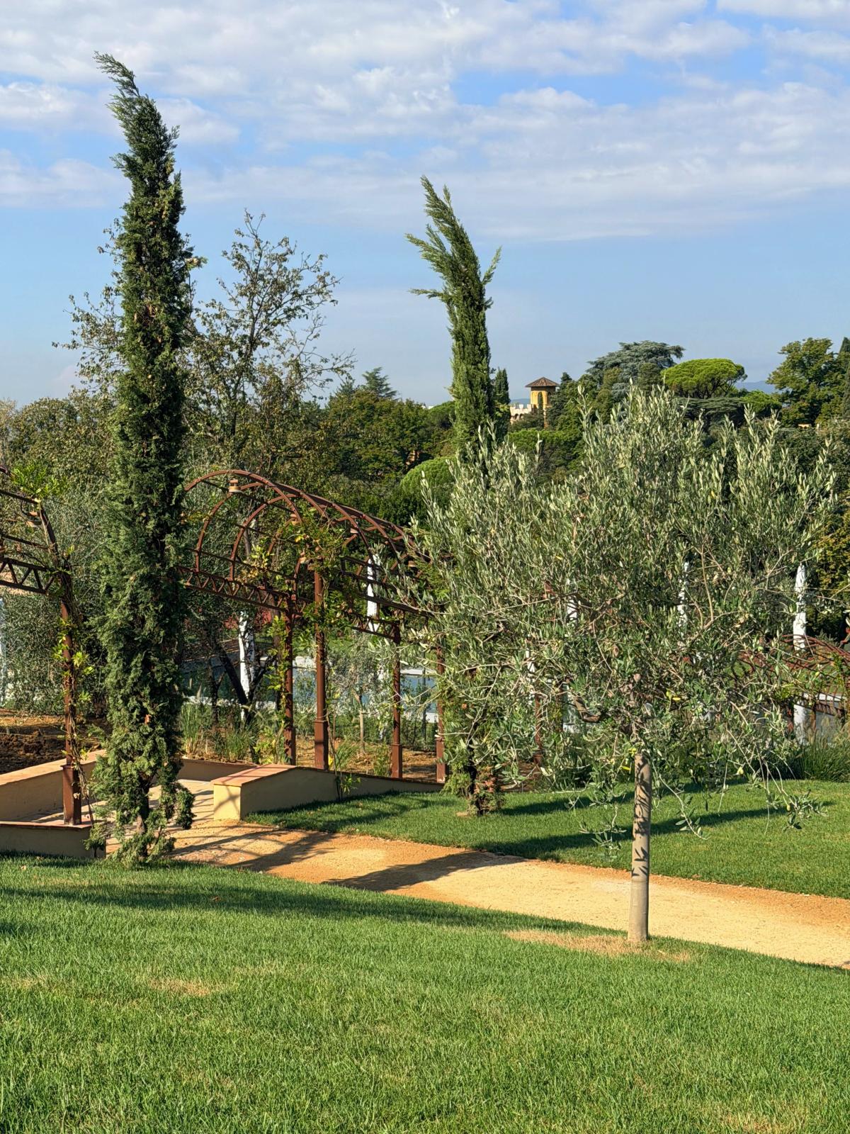 A manicured garden features a young olive tree and slender cypress trees beside a gravel path, with a rust-colored iron pergola arching over a planted walkway. Beyond the greenery, a yellow tower rises from a wooded hillside beneath a blue sky with scattered clouds.