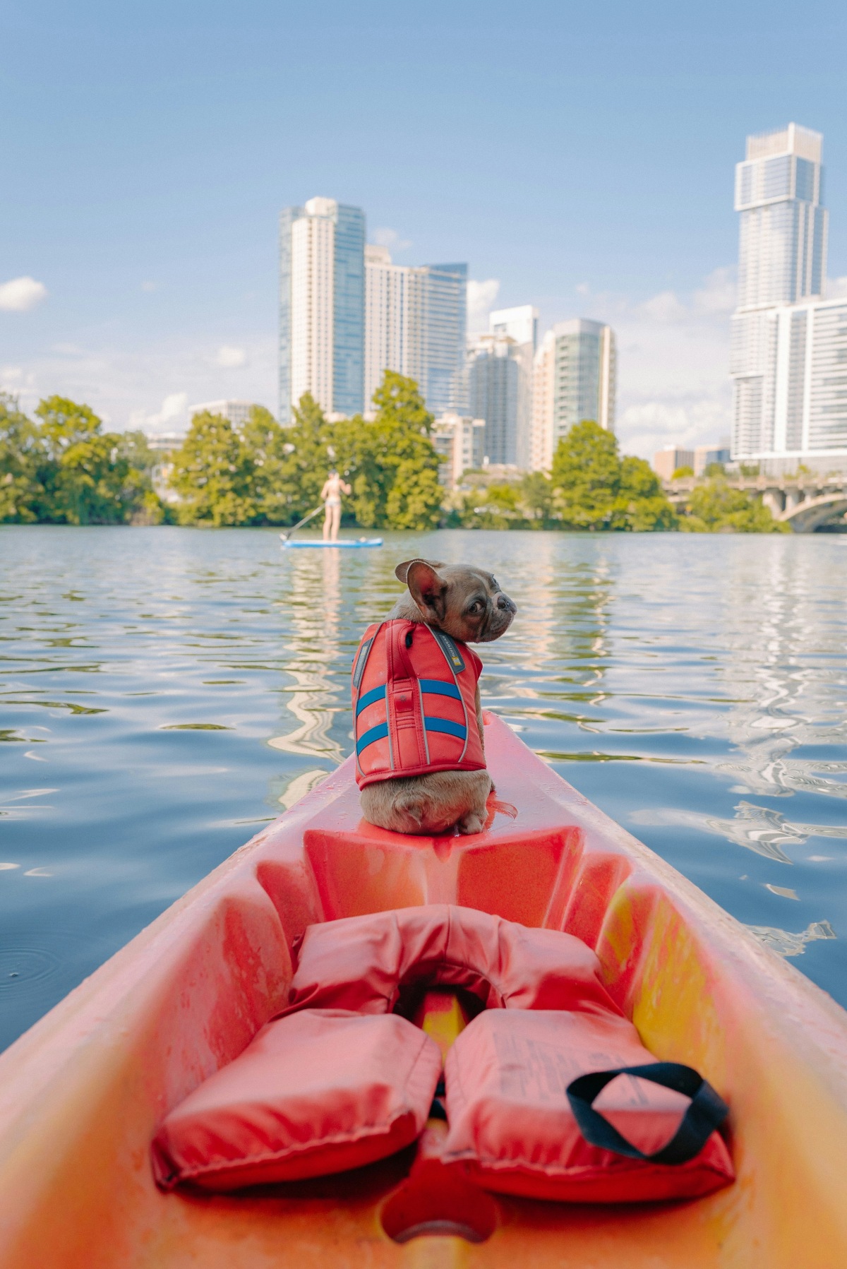 A small fawn French bulldog wearing a red and blue dog life jacket sits on the bow of an orange kayak, looking back over its shoulder, with a red life vest resting in the seat behind it. Ahead on the calm water, a person stands on a paddleboard near a tree-lined shore, with high-rise buildings and an arched bridge in the background under a blue sky.