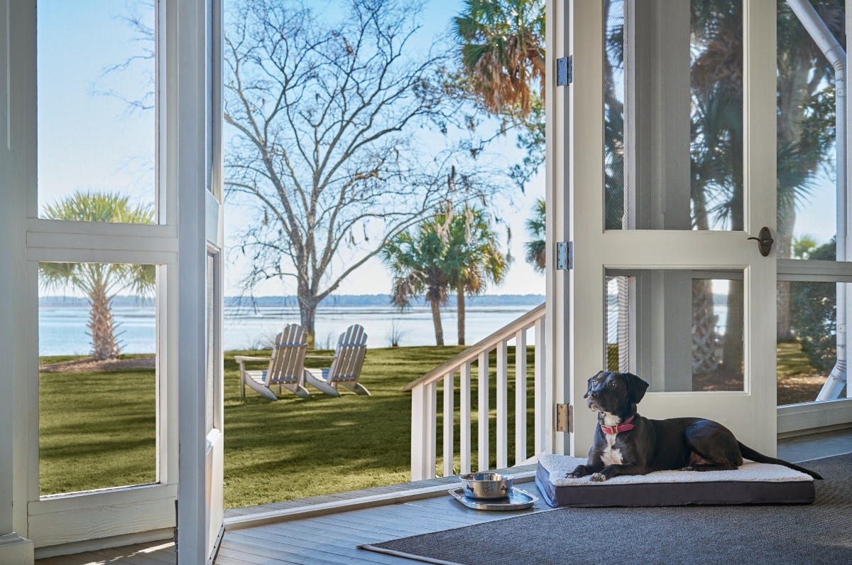 A black dog wearing a pink collar rests on a cushioned pet bed beside a metal water bowl on a screened porch, with a white door open to the outdoors. Beyond the porch, two white Adirondack chairs sit on a green lawn dotted with palm trees and a bare deciduous tree, overlooking a wide expanse of water under a clear blue sky.