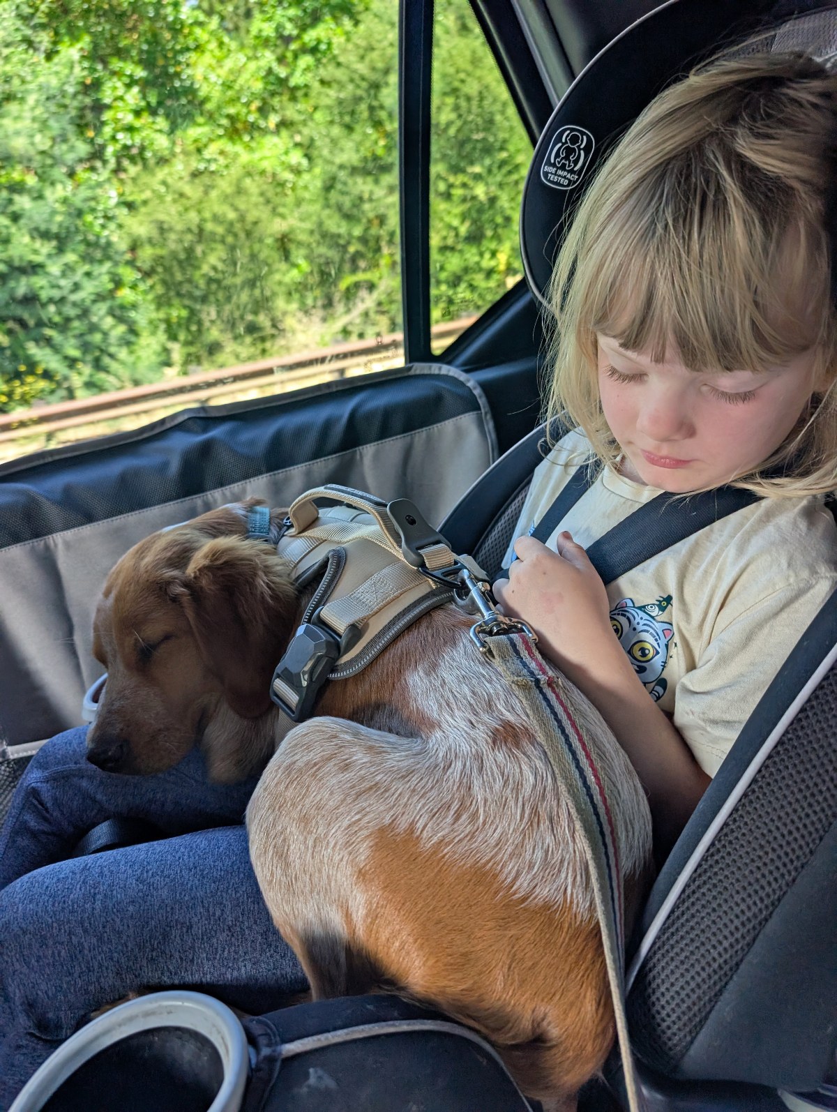 A young child with blonde hair and bangs sits buckled into a car seat, looking down at a sleeping brown and white puppy curled up on their lap. The puppy wears a tan harness clipped to a striped leash, with a water bowl at the edge of the seat and green trees visible through the car window.
